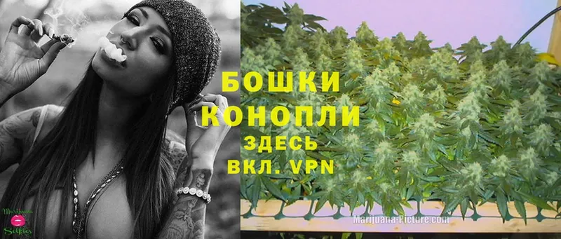 цены наркотик  ссылка на мегу вход  Канабис SATIVA & INDICA  Камень-на-Оби 